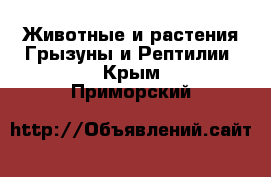 Животные и растения Грызуны и Рептилии. Крым,Приморский